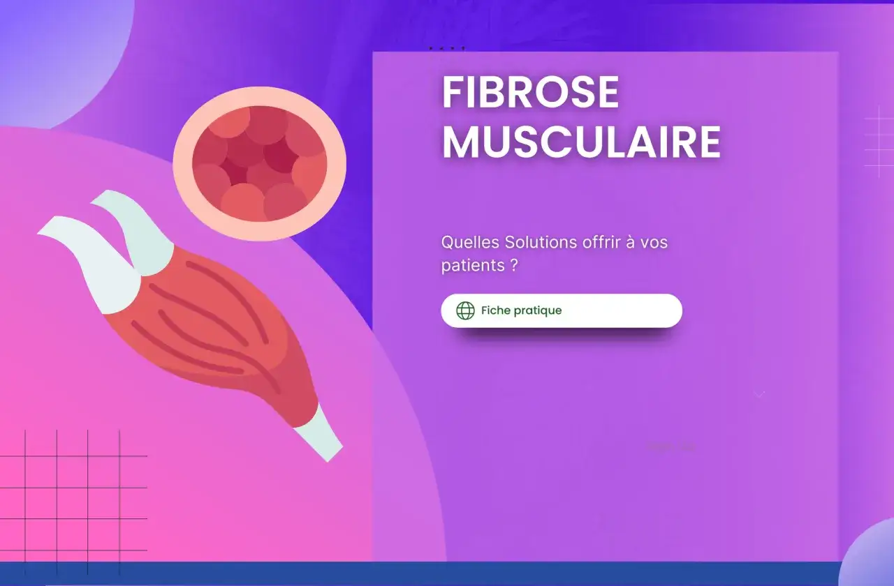 Illustration d'un muscle et d'une coupe transversale, avec le texte 