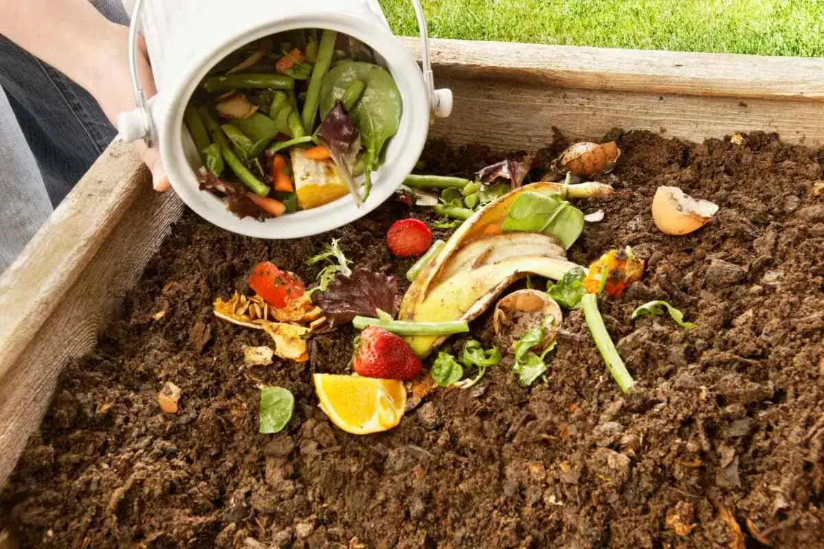 Des restes de fruits et l&eacute;gumes sont ajout&eacute;s &agrave; un composteur maison.