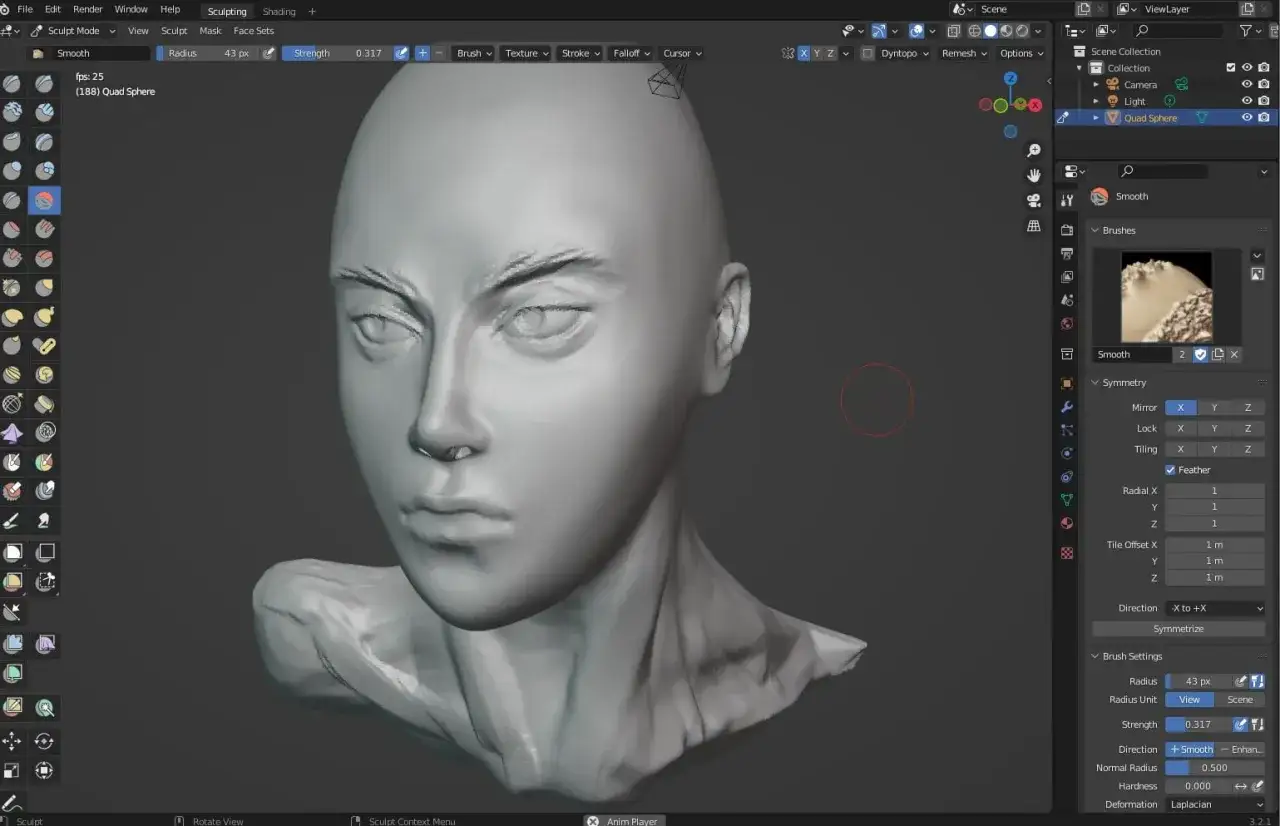 En ansiktsmodell i Blender, redo f&ouml;r en blender test.