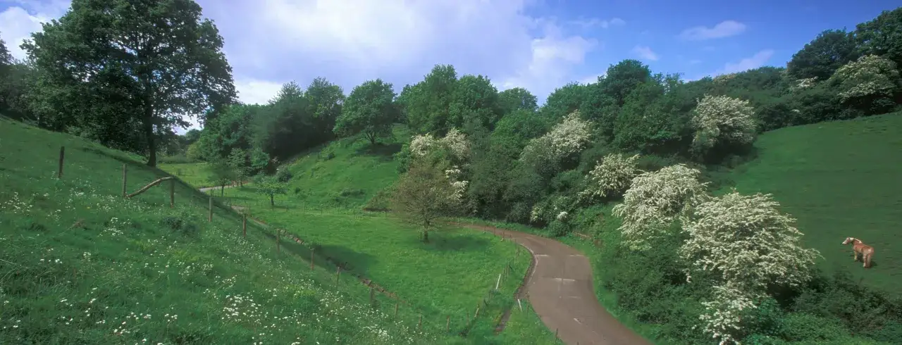 Chemin sinueux &agrave; travers des collines verdoyantes, id&eacute;al pour un trek en Belgique. Un cheval broute paisiblement sur le flanc de la colline.