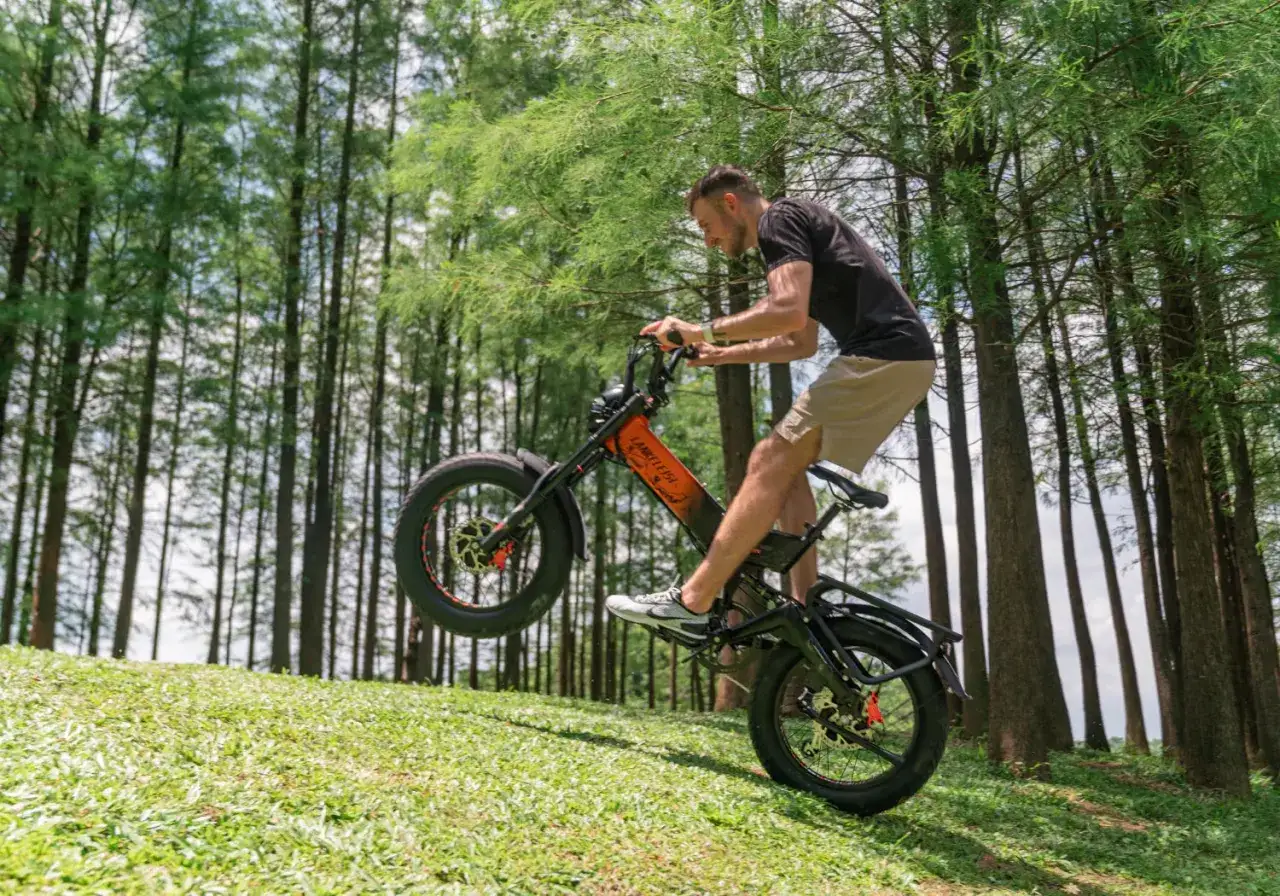 Un homme en plein effort sur un vélo électrique pour forte pente, traversant une colline verdoyante bordée de grands arbres.