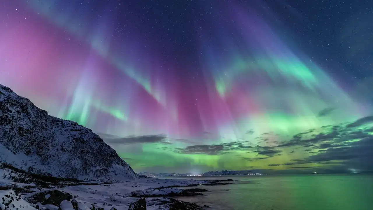 Spektakuläre Polarlichter sehen: Grüne und violette Schleier tanzen über einem schneebedeckten Berg und dem Meer. Ein magischer Anblick.