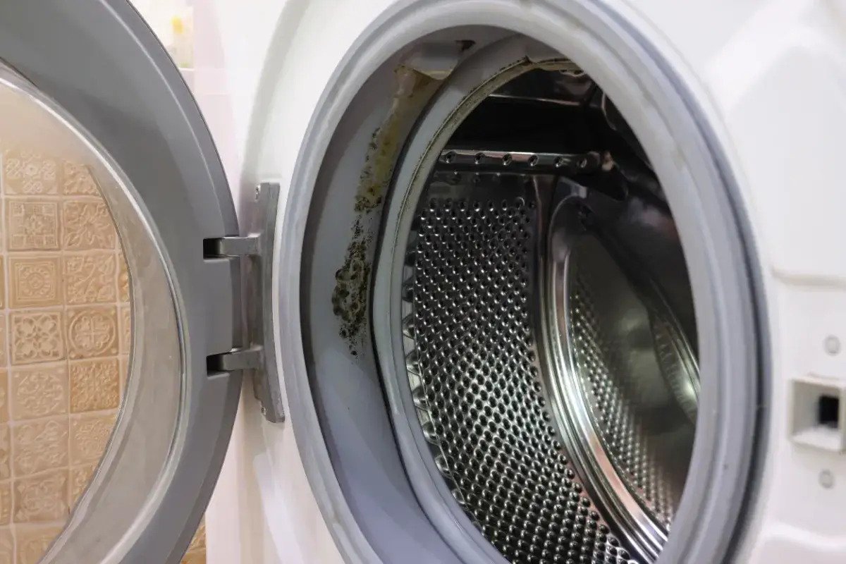 Schimmel und Schmutz am Gummi der Miele Waschmaschine. Zeit f&uuml;r eine gr&uuml;ndliche miele waschmaschine reinigen.