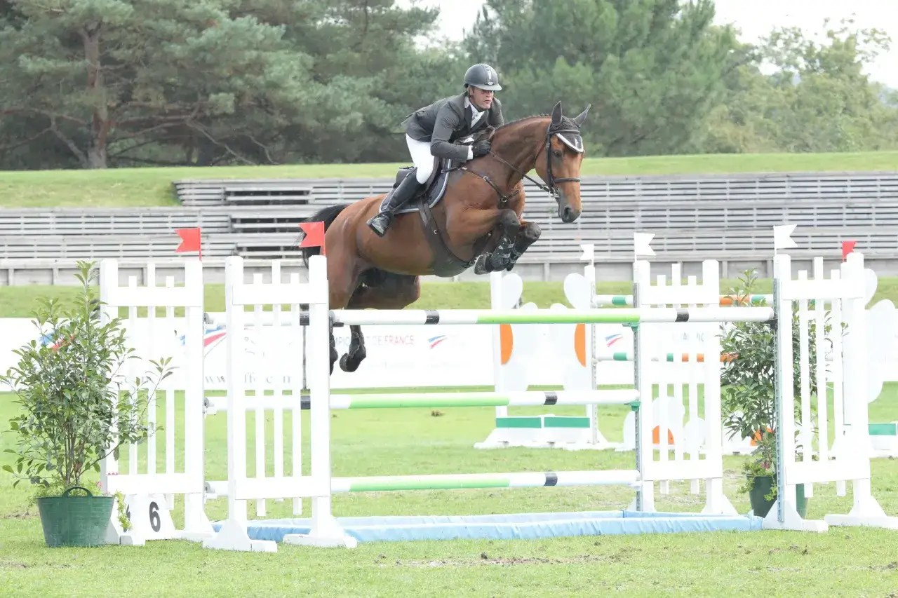 Un magnifique etalon cso, monté par un cavalier en tenue, franchit un obstacle blanc lors d'une compétition équestre.