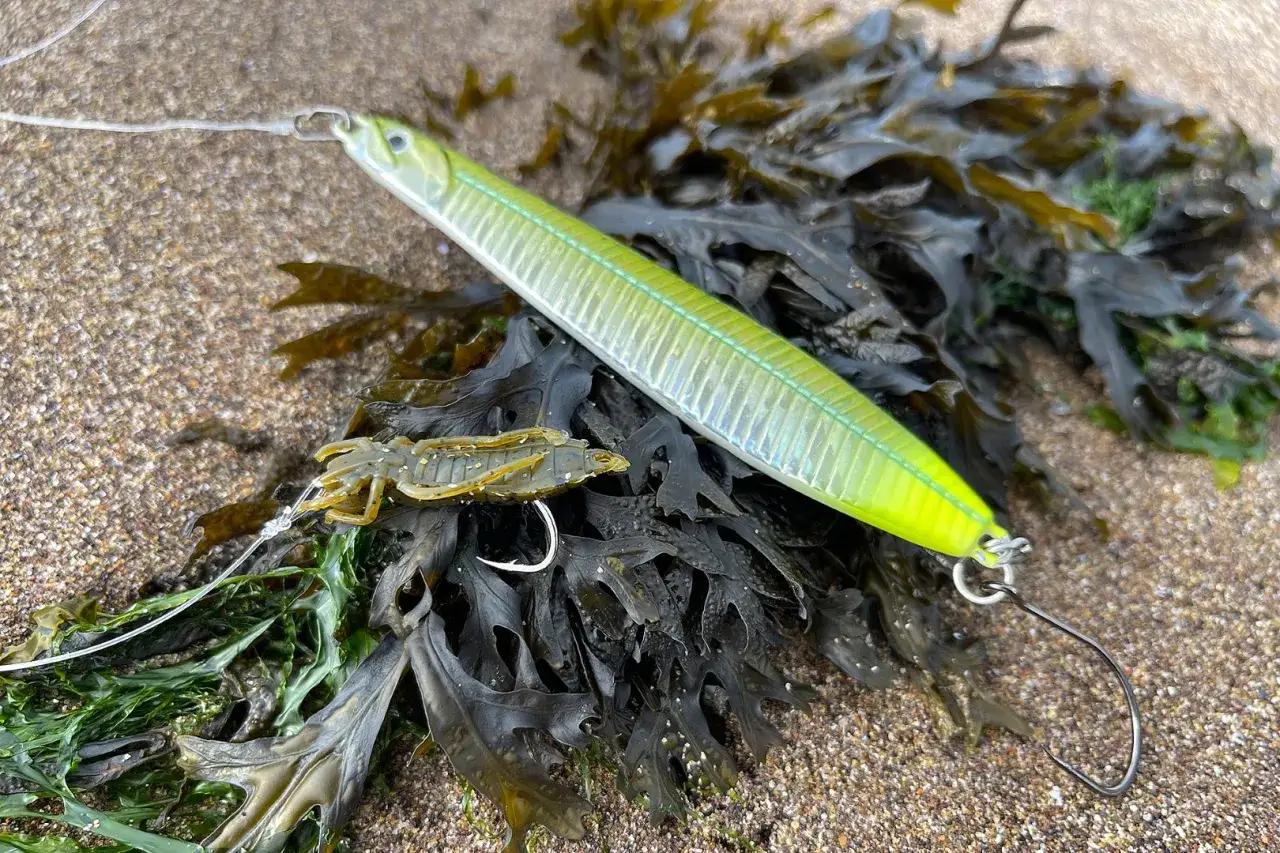 Wolfsbarsch angeln montage: ein grüner Köderfisch und ein Krebs-Gummiköder liegen auf Seetang am Strand.