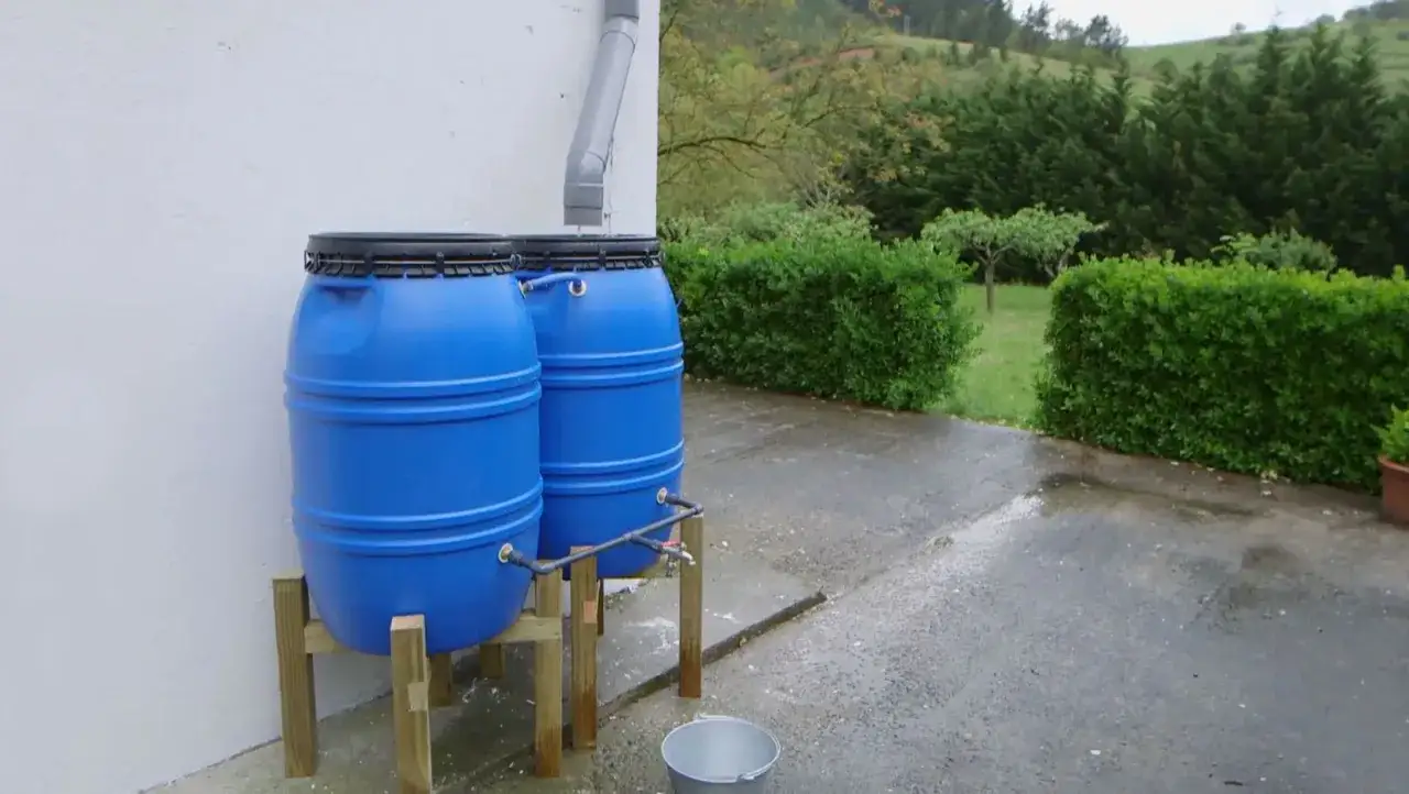 Dos barriles azules forman un depósito de agua de lluvia casero, conectados a un bajante. Un grifo permite el acceso al agua recolectada.