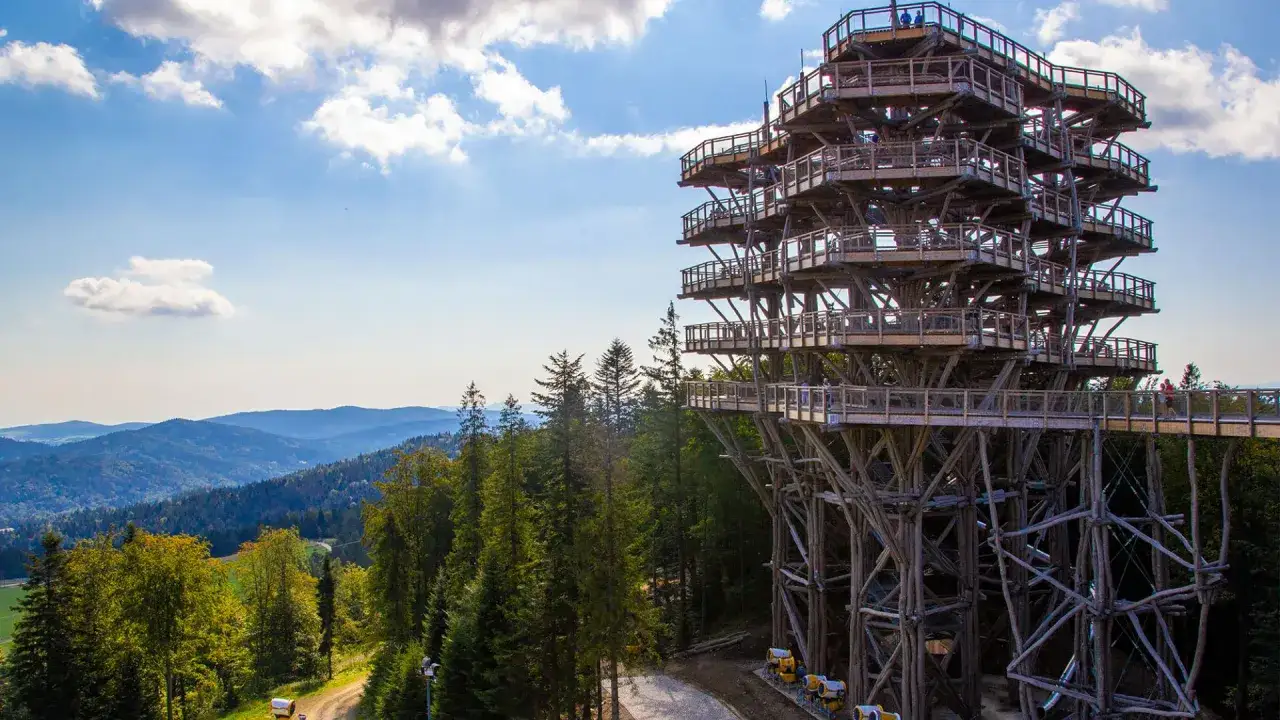 Drewniana wieża widokowa wznosi się ponad lasem, oferując wspaniały sky walk i panoramę g&oacute;r.