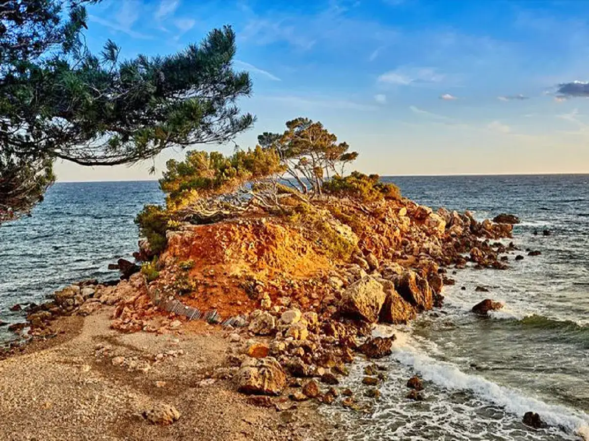 Un coin de nature sauvage pour savoir que faire &agrave; Bandol : rochers, pins et mer bleue sous un ciel d'&eacute;t&eacute;.