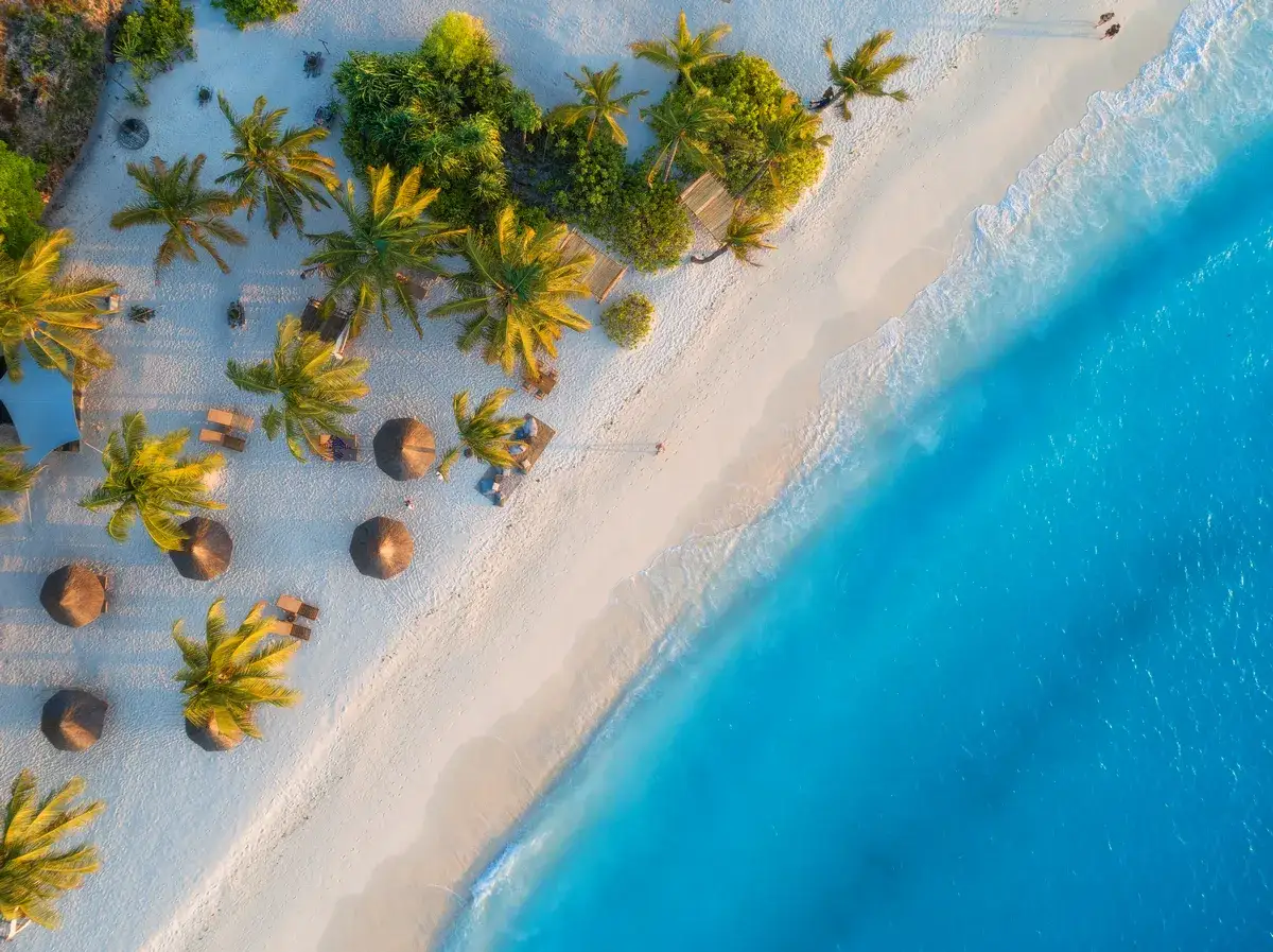 Rajska plaża z palmami i turkusową wodą. Marzysz o podróży? Sprawdź, ile się leci na Zanzibar z Poznania!