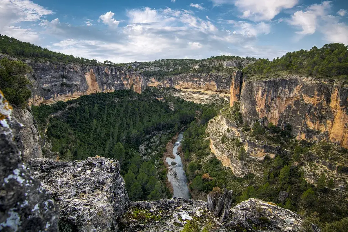 Impresionante cañón con río y bosque, un paisaje natural que evoca la belleza de las áreas protegidas de Castilla-La Mancha.