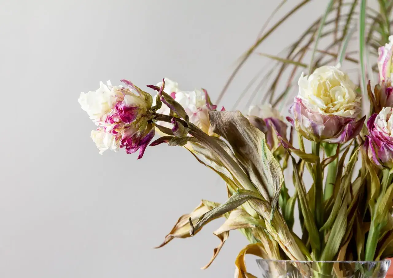 Fiori appassiti, bianchi e viola, con foglie secche. Un'immagine che evoca il ciclo della vita, dove si buttano i fiori quando la loro bellezza svanisce.