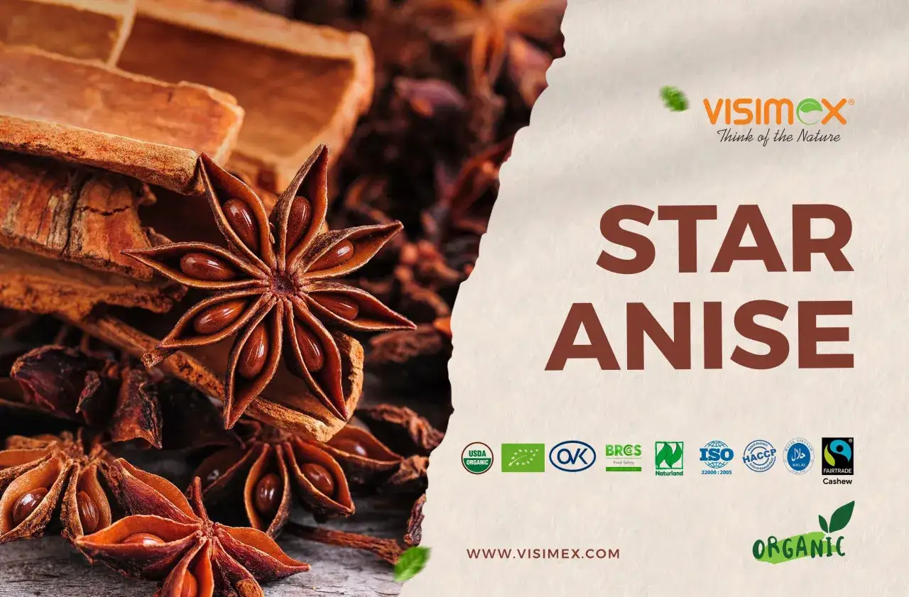 Sternanis, bekannt f&uuml;r seine aromatische Wirkung, liegt neben Zimtstangen. Visimex bietet Bio-Produkte.