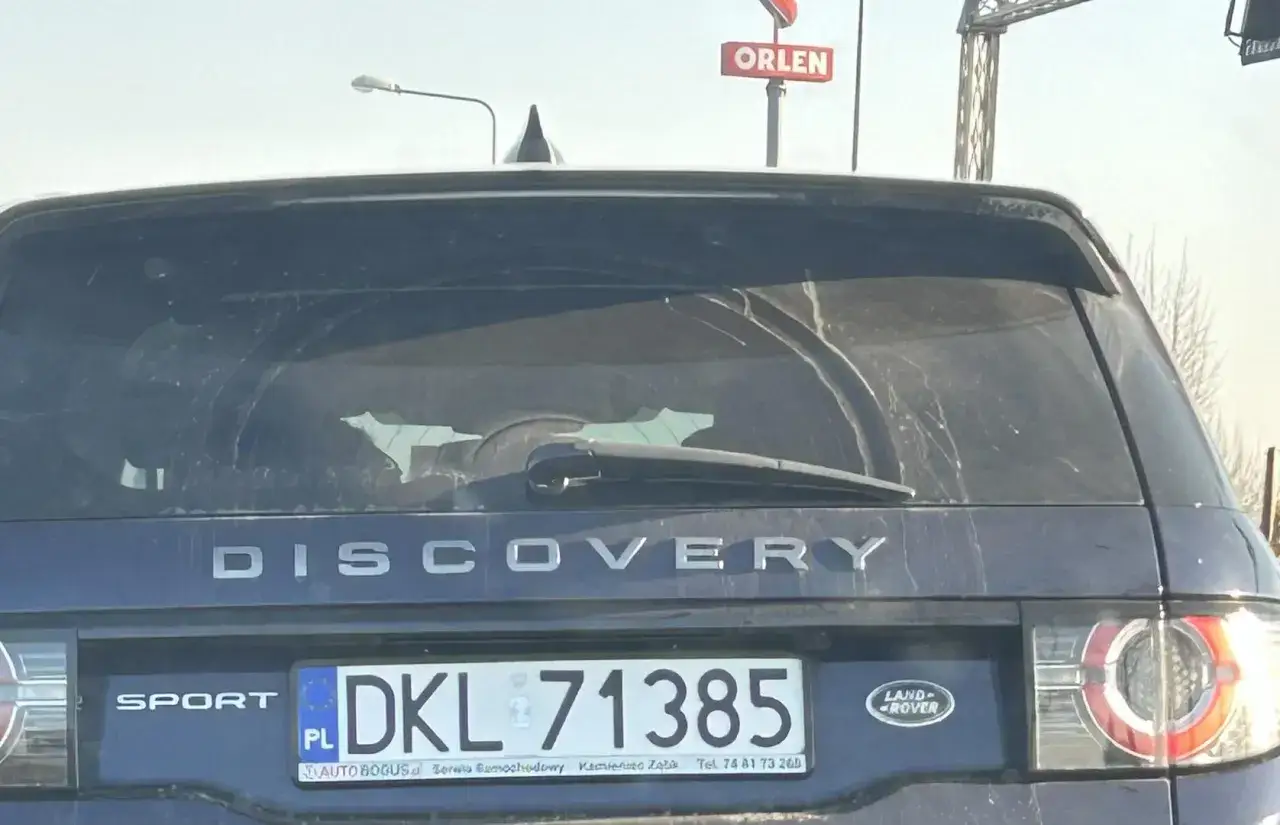 Tylna szyba Land Rover Discovery z tablicą rejestracyjną DKL 71385. Na szybie naklejka z psem.