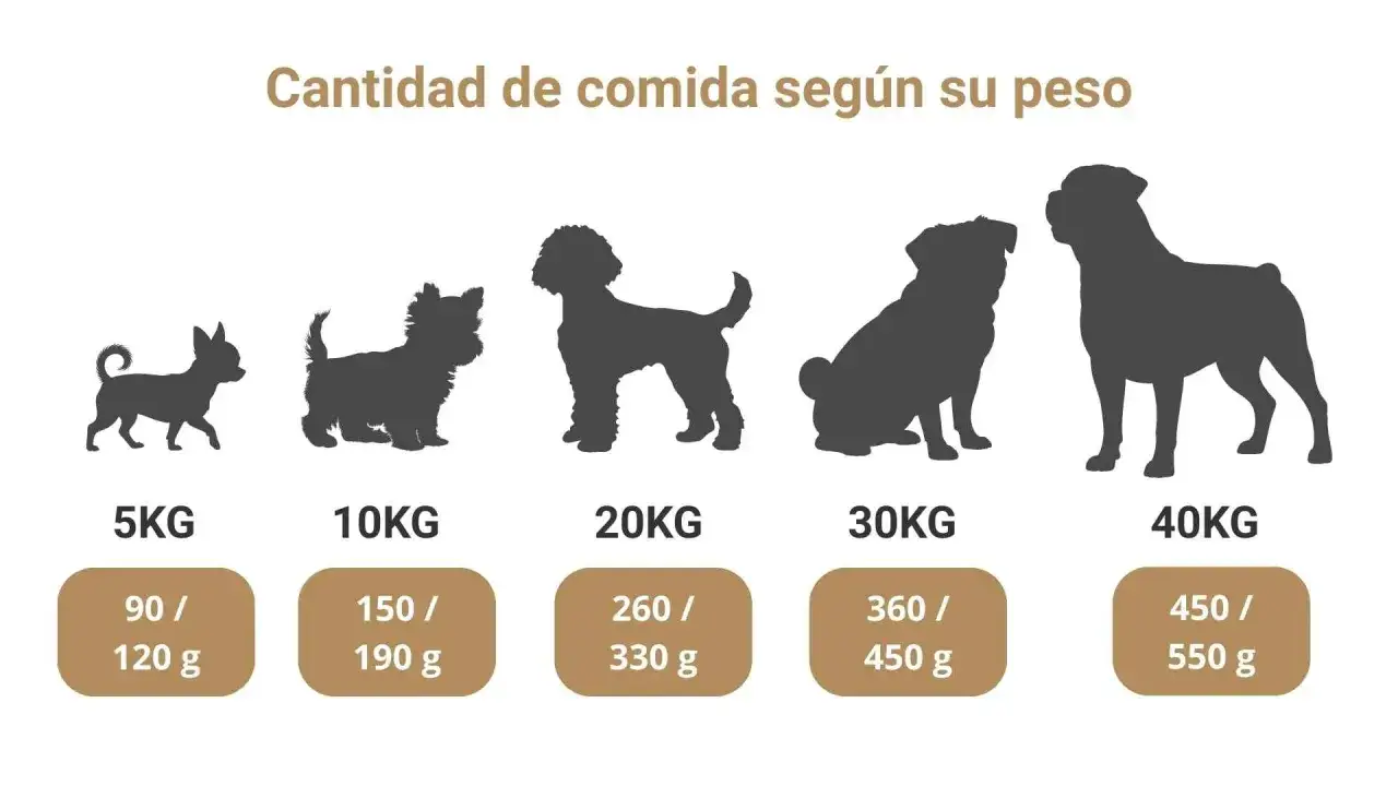 Tabla de cantidad de comida casera para perro según su peso, desde 5kg hasta 40kg.