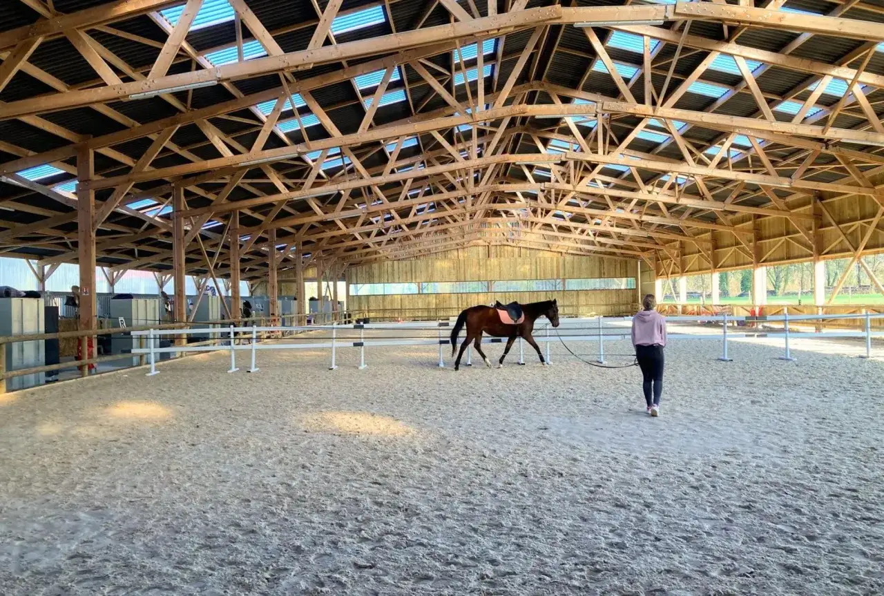 Cheval brun en longe dans un man&egrave;ge couvert, avec une cavali&egrave;re. Le prix du man&egrave;ge 60x20 est une affaire.