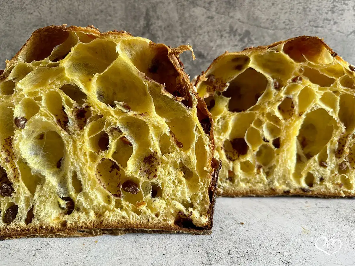 Dos rebanadas de panettone, mostrando su interior esponjoso y dorado con trozos de chocolate. Así es que es el panettone.