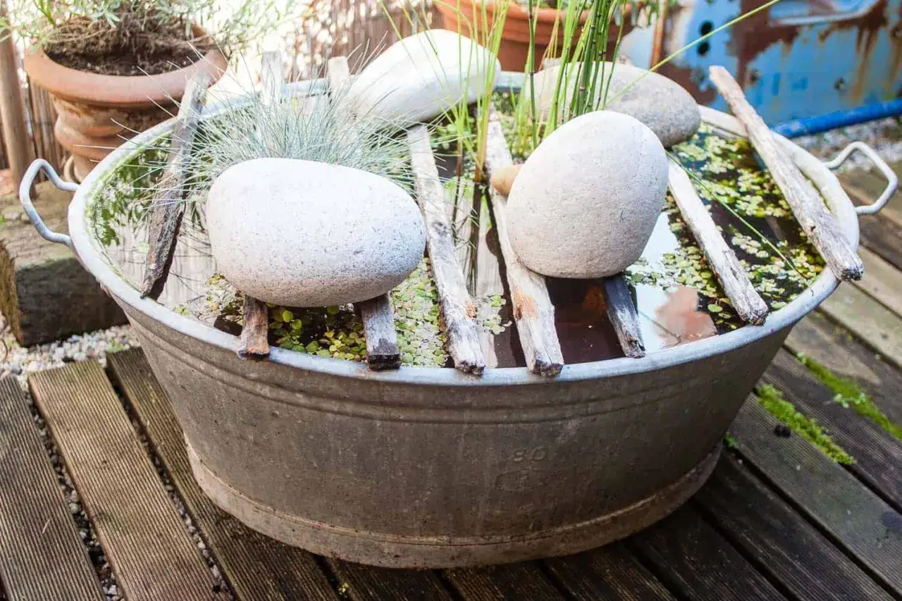 Kreative kleiner gartenteich ideen: Zinkwanne mit Wasser, Steinen, Treibholz und Gräsern.