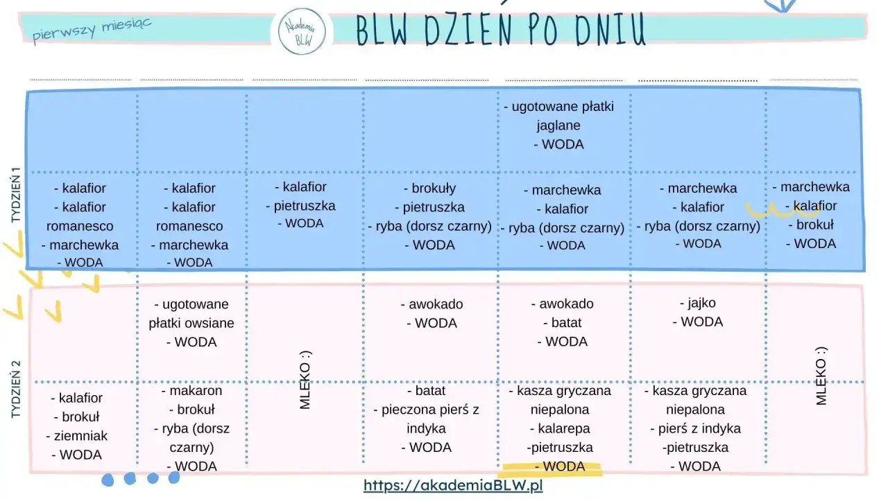 Plan rozszerzania diety niemowlaka: Tydzień 1 i 2 z propozycjami posiłków BLW, np. kalafior, marchewka, ryba, jajko.