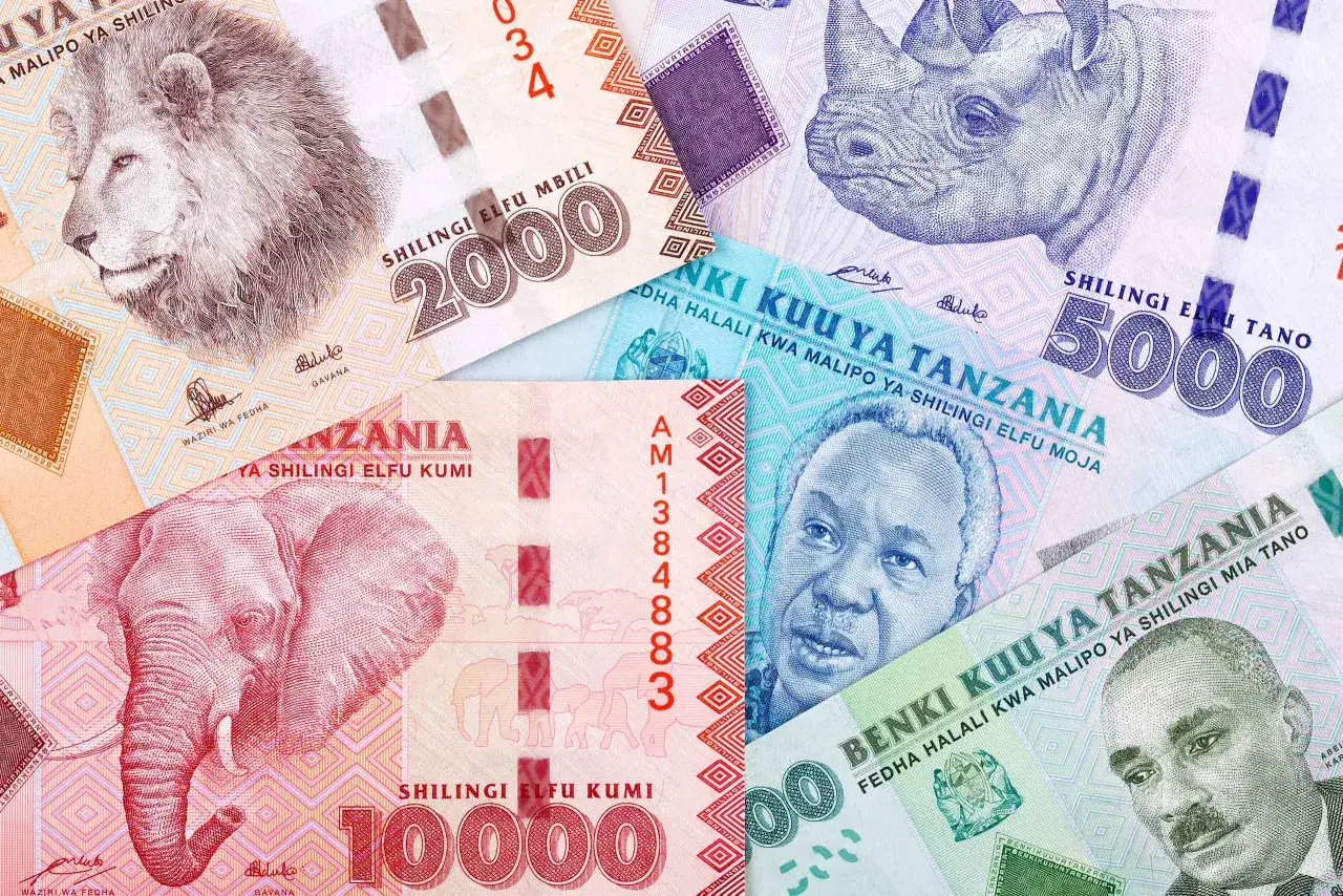 Tanzania waluta: banknoty z lwem, słoniem, nosorożcem i portretami. Szylingi tanzańskie w różnych nominałach.