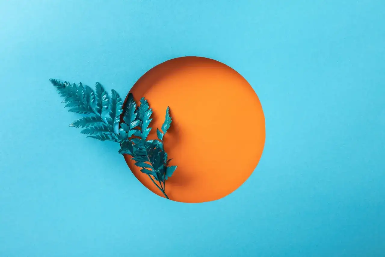 Un ramo di felce blu su sfondo azzurro, con un cerchio arancione che crea un contrasto vibrante, un perfetto esempio di arancione colore complementare.