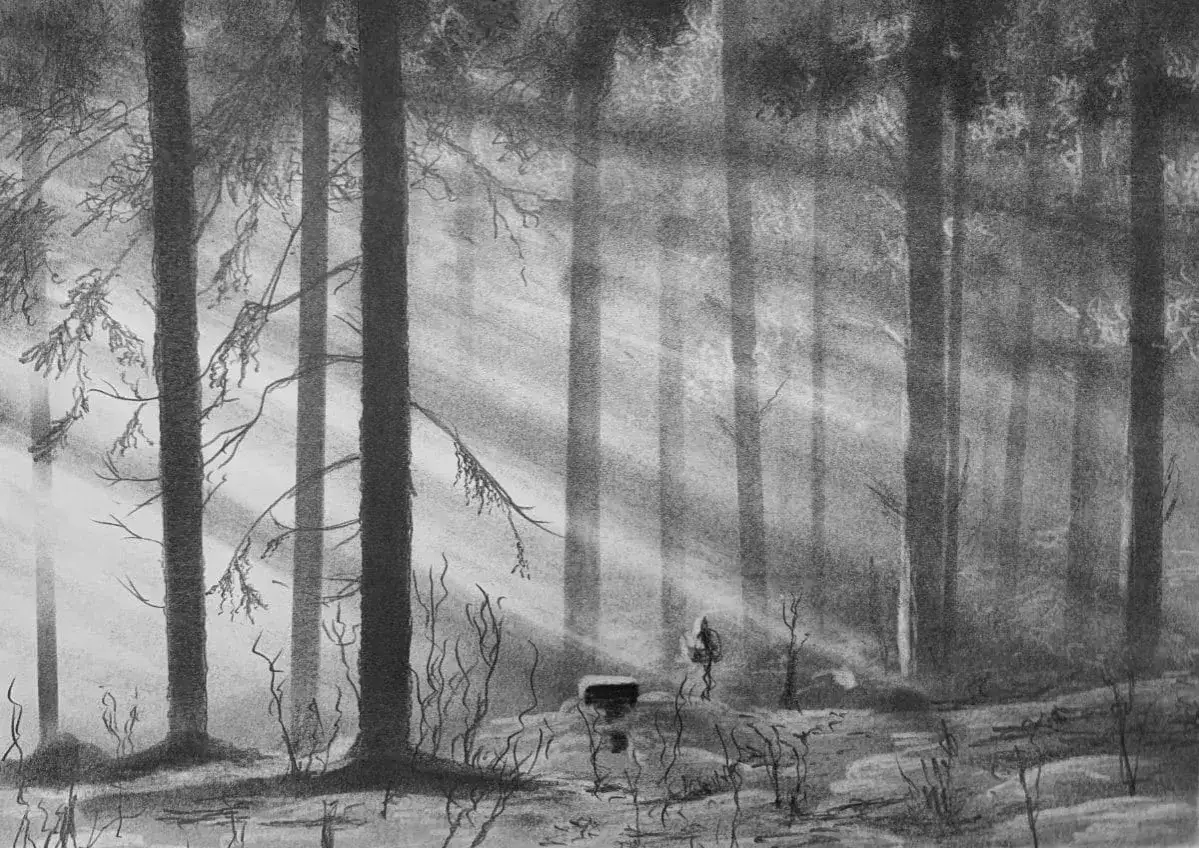 Un dessin au fusain d'une for&ecirc;t travers&eacute;e par des rayons de soleil per&ccedil;ant le brouillard. L'atmosph&egrave;re est myst&eacute;rieuse et paisible.