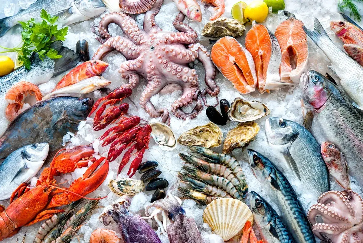 Un chef del mar tiene a su disposición una gran variedad de mariscos frescos: pulpo, langostas, camarones, ostras y pescados variados sobre hielo.