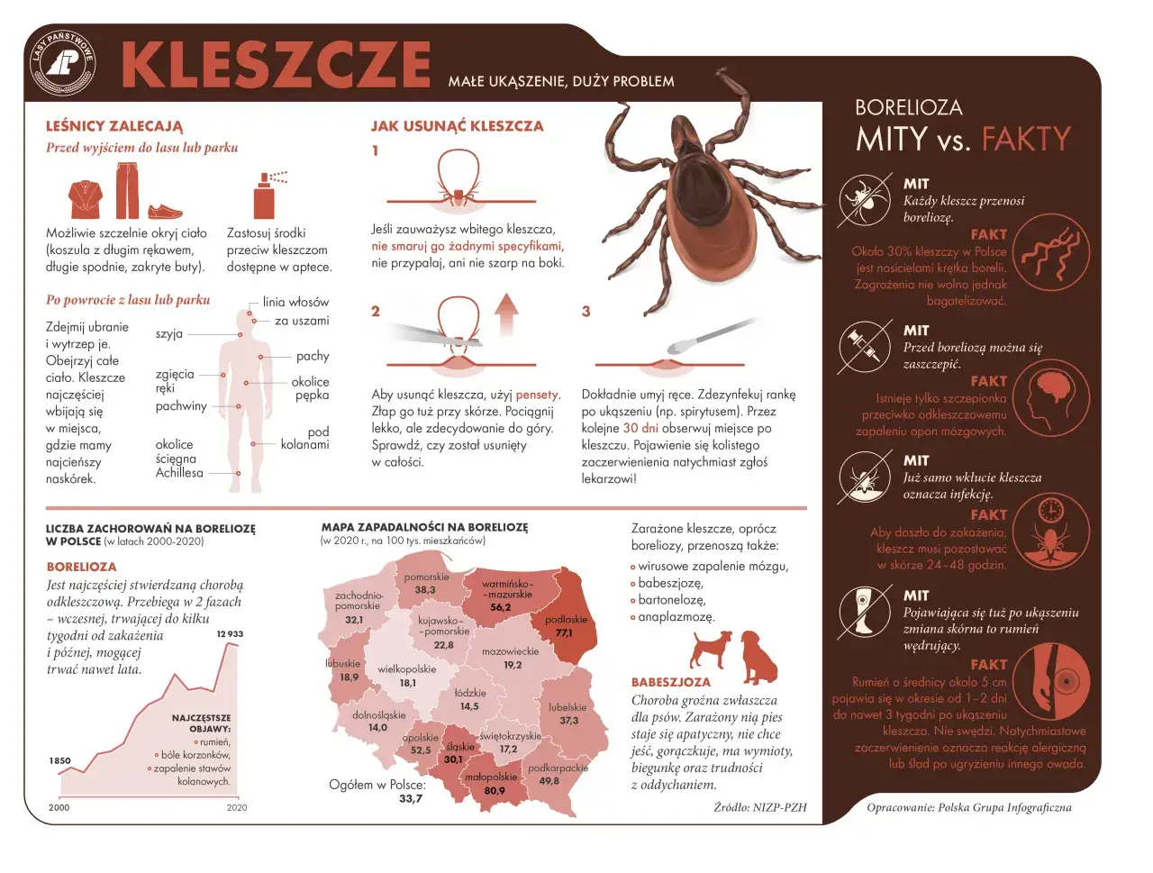 mapa miejsc ukąszeń kleszcza na ciele