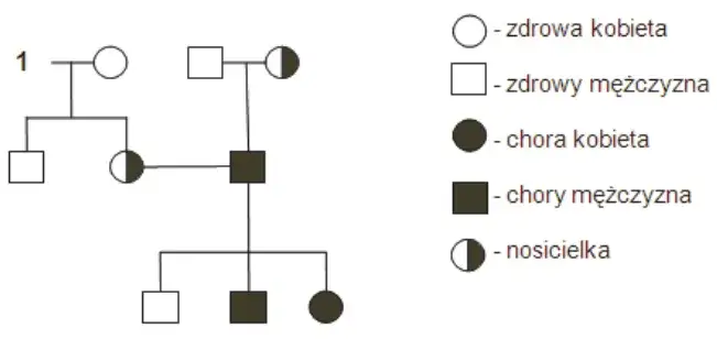 daltonizm dziedziczenie chromosom X