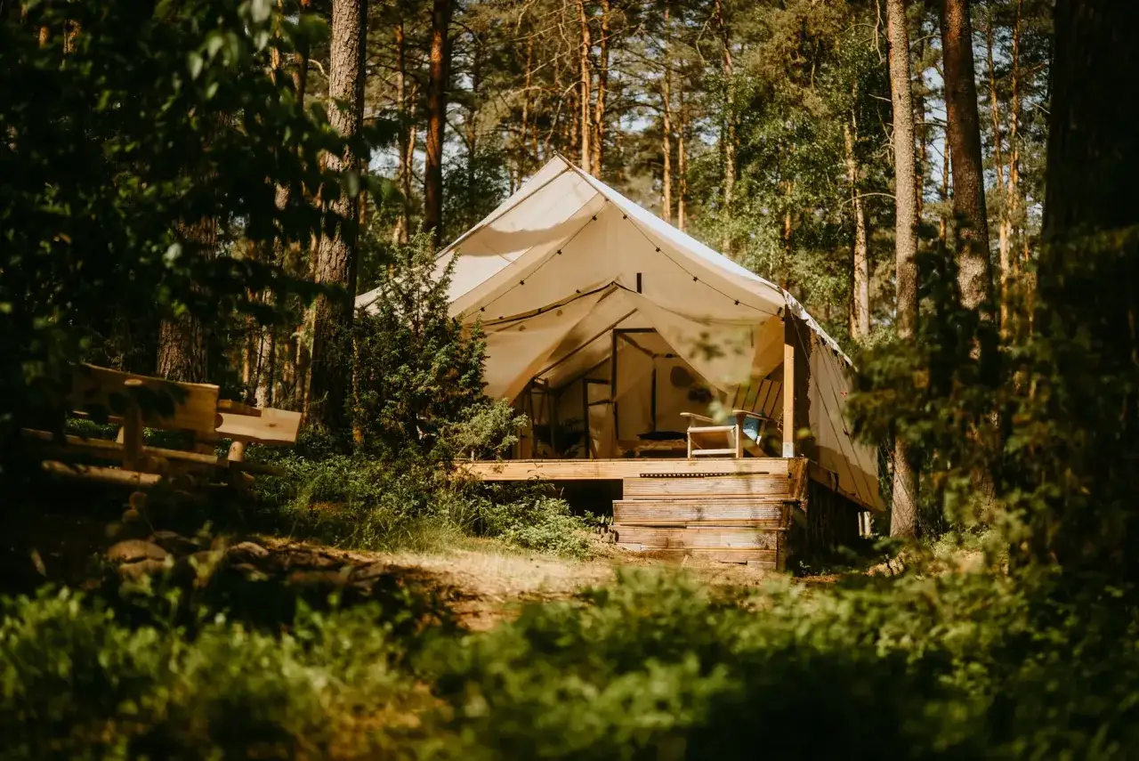 Witaj w aloha camp! Duży namiot glampingowy stoi w lesie, otoczony zielenią. Drewniana ławka zaprasza do odpoczynku.