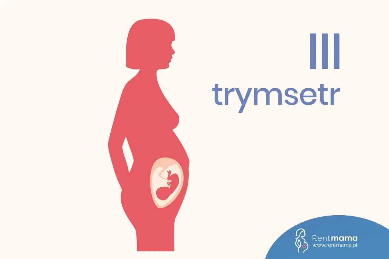 III trymestr ciąży. Widoczna sylwetka kobiety w ciąży z zaznaczonym płodem. Dziecko przygotowuje się do narodzin, jego ruchy stają się bardziej odczuwalne.
