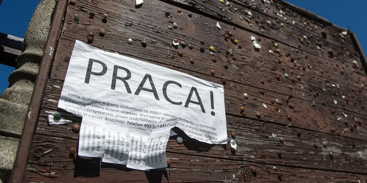 najbardziej poszukiwane branże Polska