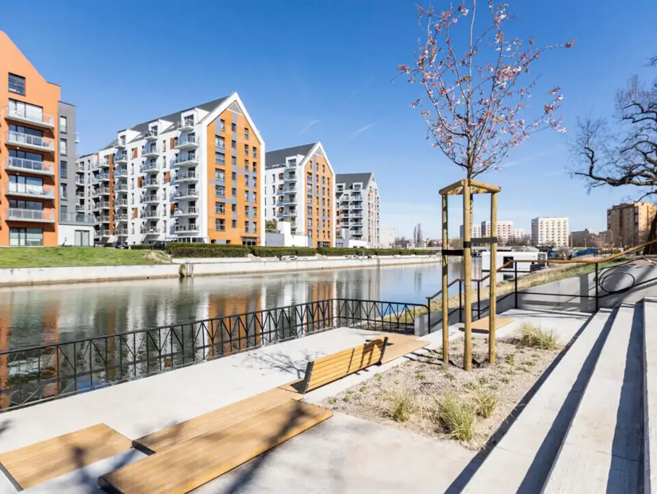 Nowoczesne apartamentowce nad wodą w Dolnym Mieście Gdańsk. Wiosna, kwitnące drzewo i ławki zapraszają do odpoczynku.