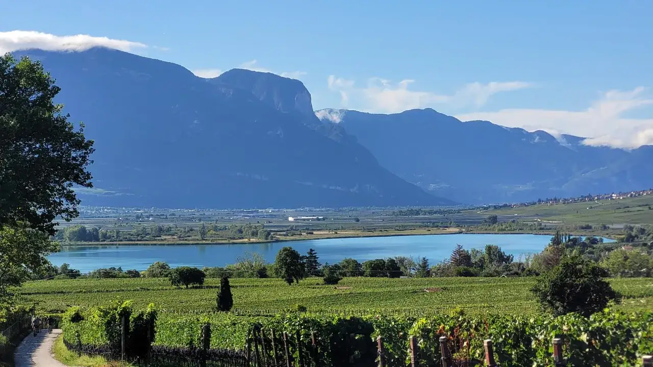 Vigneti rigogliosi abbracciano il **lago di Cavareno**, specchio azzurro ai piedi di maestose montagne azzurre.
