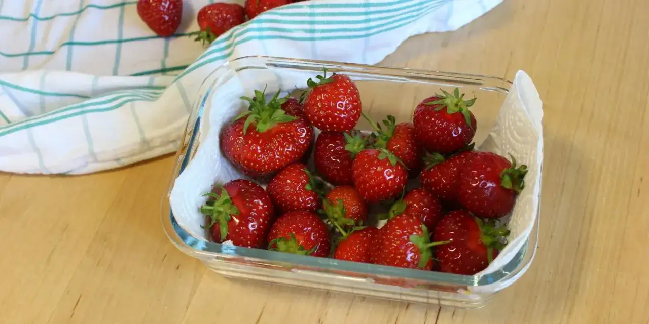 Fragole fresche in contenitore di vetro con carta assorbente, un modo semplice per capire come conservare le fragole più a lungo.