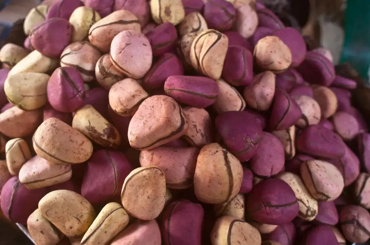 Grains de petit cola, certains d'un rose p&acirc;le, d'autres d'un violet profond, empil&eacute;s en gros tas.