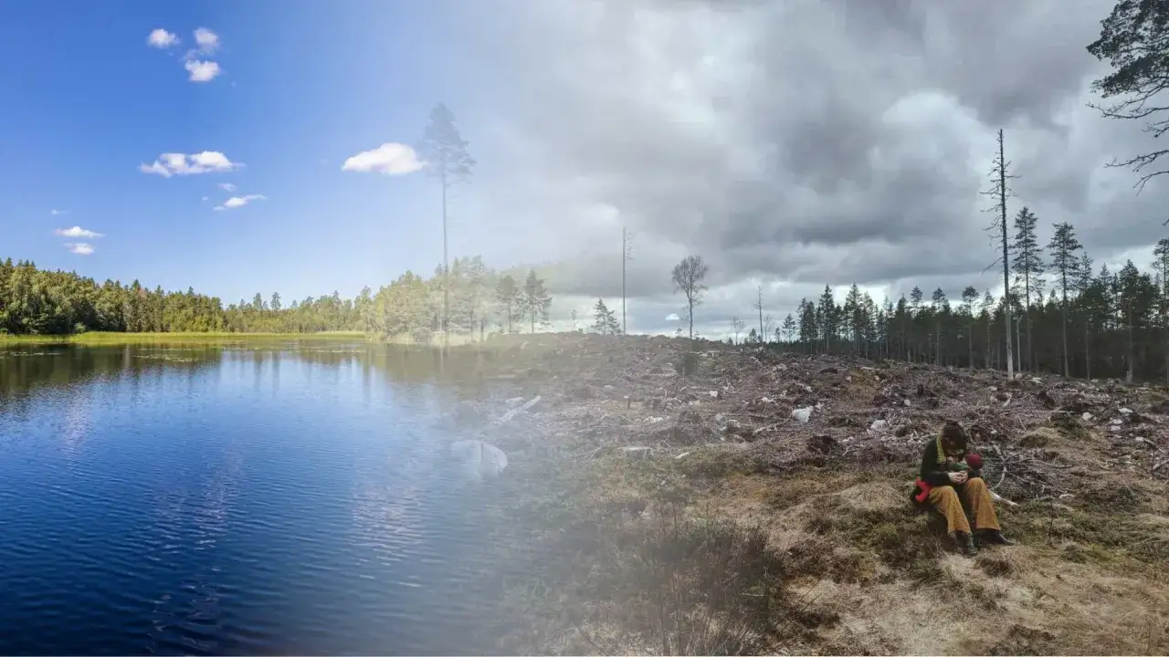 Kontrasten mellan en vacker sjö och ett kalhugget skogsområde. En person sitter ensam på den avverkade marken. Viktig fakta om Sverige och dess natur.