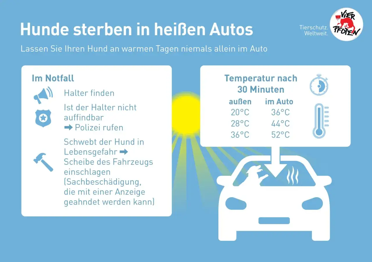 Hunde sterben in hei&szlig;en Autos. Lassen Sie Ihren Hund niemals allein im Auto. Die Temperatur steigt schnell an.