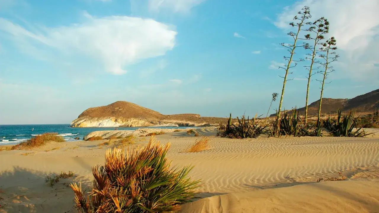 Dunas doradas y vegetación desértica en una playa, con el mar azul y montañas al fondo. Un paisaje idílico que invita a explorar qué ver cerca de Cabo de Gata.