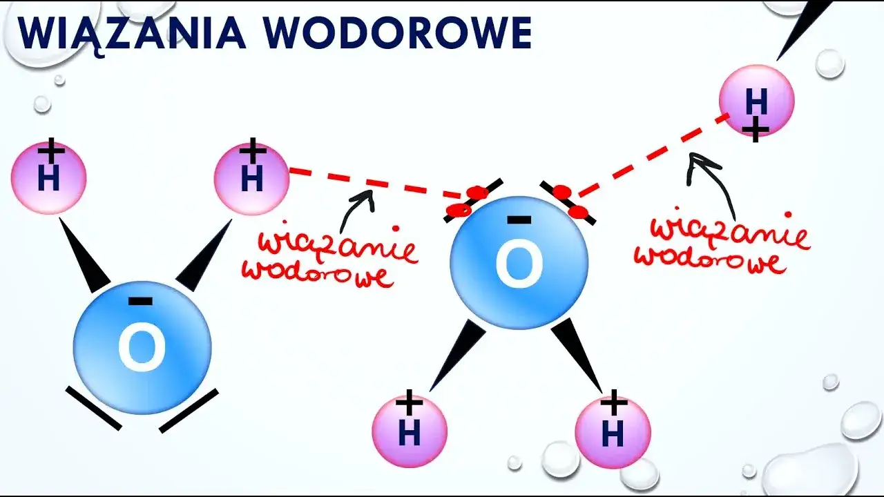 Budowa cząsteczki wody i wiązania wodorowe
