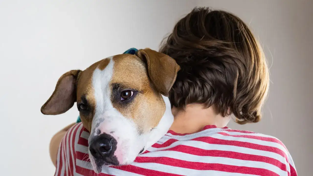 Un niño abraza a su perro, que parece triste. Mi perro llora mucho, pero se consuela en sus brazos.