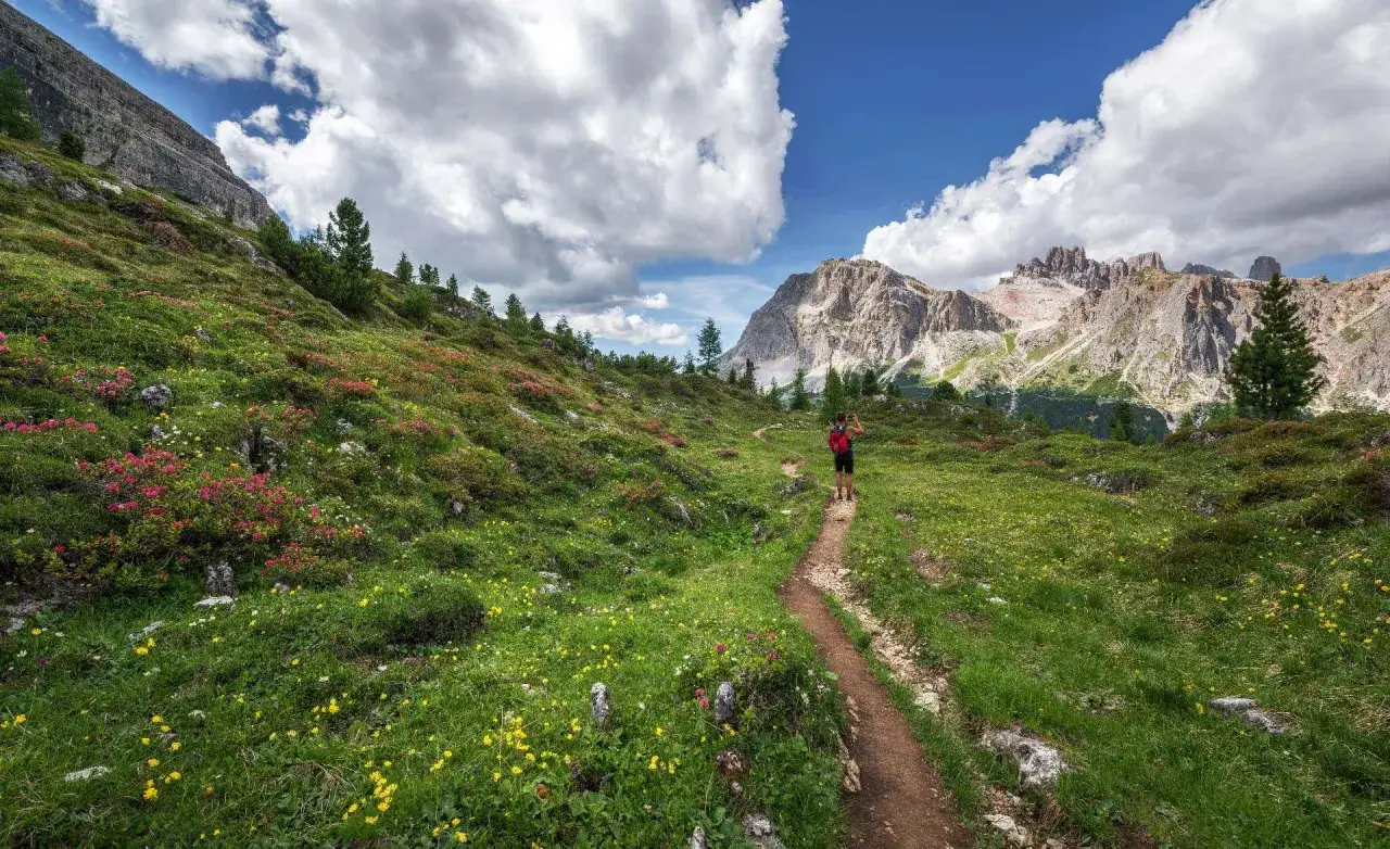Sentiero fiorito in montagna, ideale per una passeggiata della merlonga. Un escursionista con zaino rosso ammira il panorama alpino.
