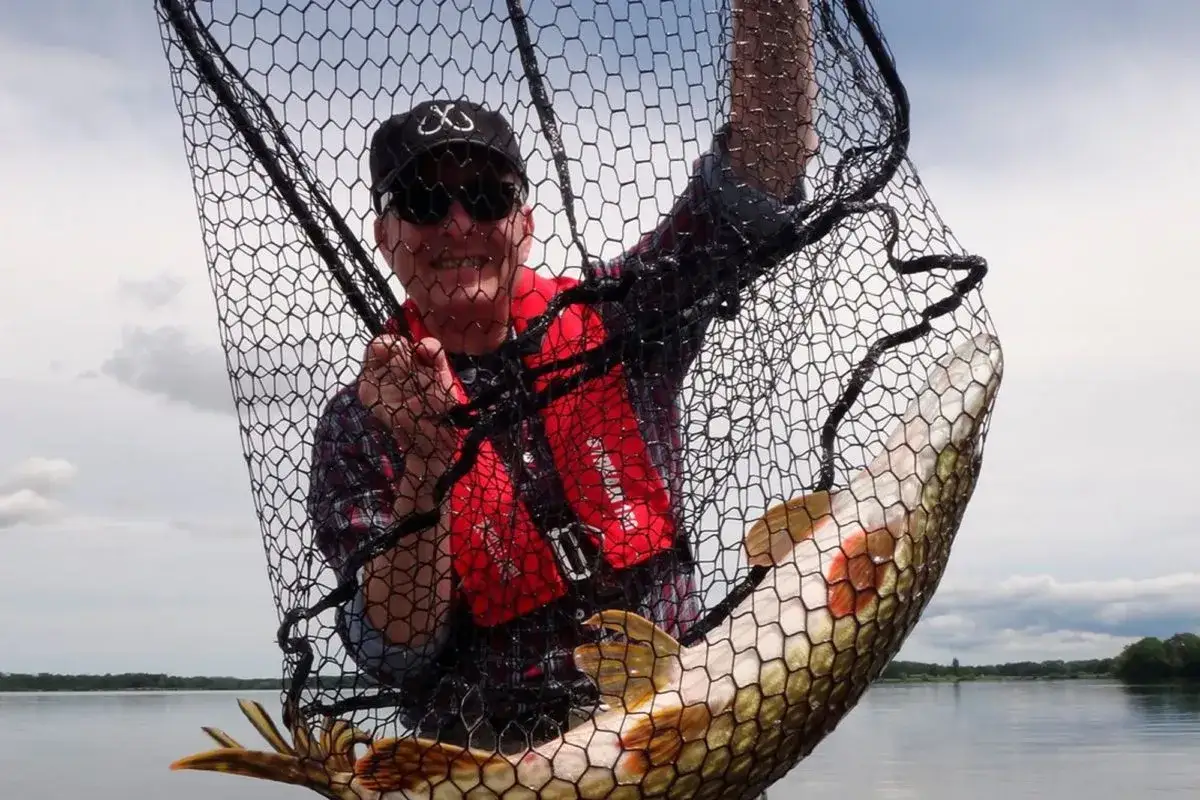 Gl&uuml;cklicher Angler mit einem gro&szlig;en Hecht im Kescher. Erfolgreicher Hecht landen am See.