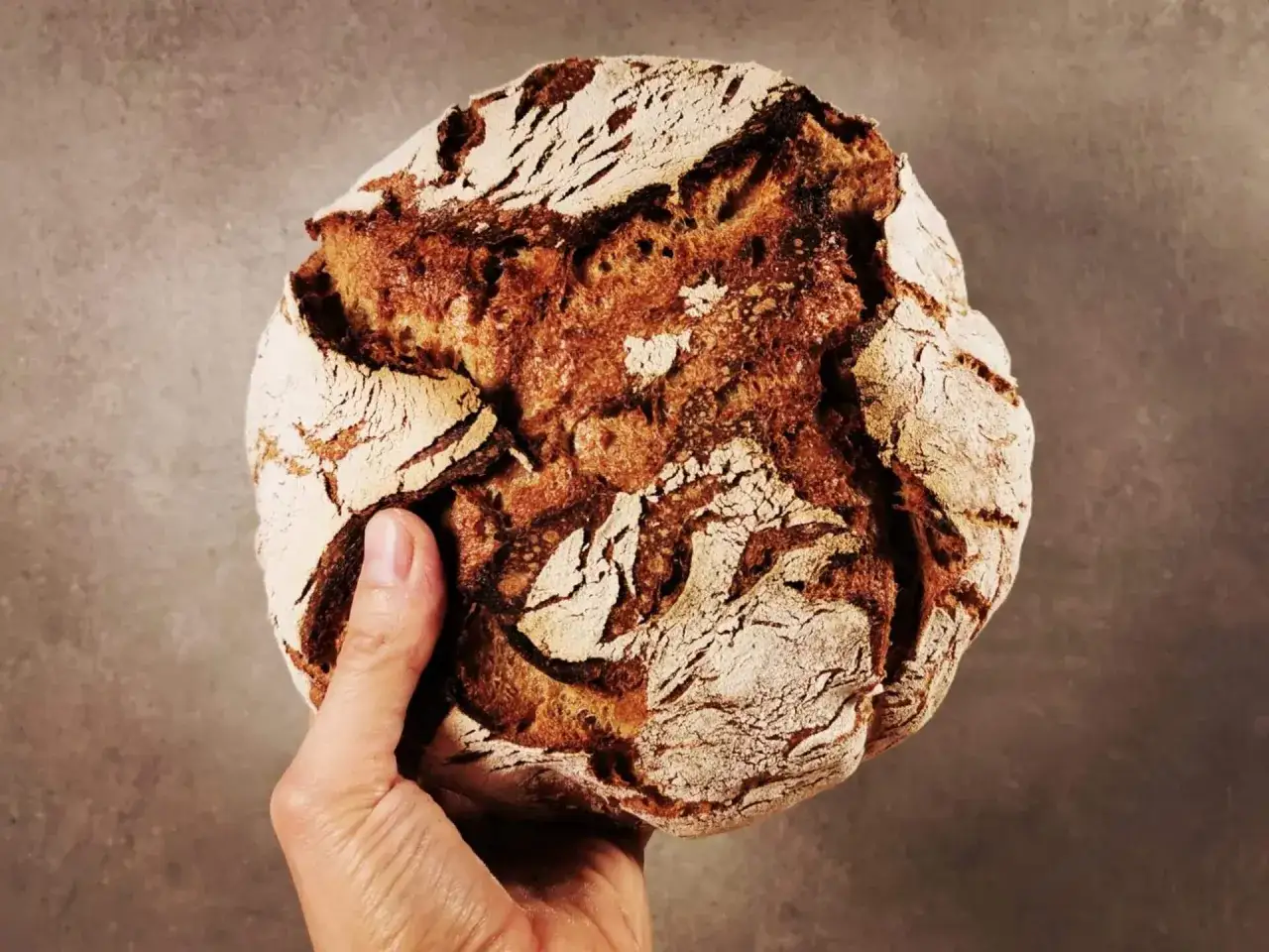 Hand h&auml;lt ein rustikales Brot aus Emmer Urkorn mit knuspriger Kruste und dunkler Krume.