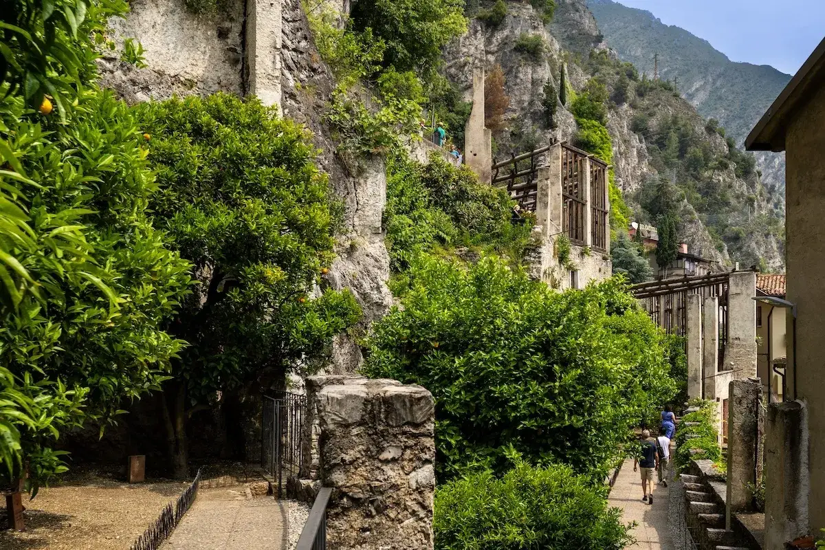 Un sentiero serpeggia attraverso un rigoglioso giardino di agrumi, con alberi carichi di frutti che si stagliano contro un'antica parete rocciosa.