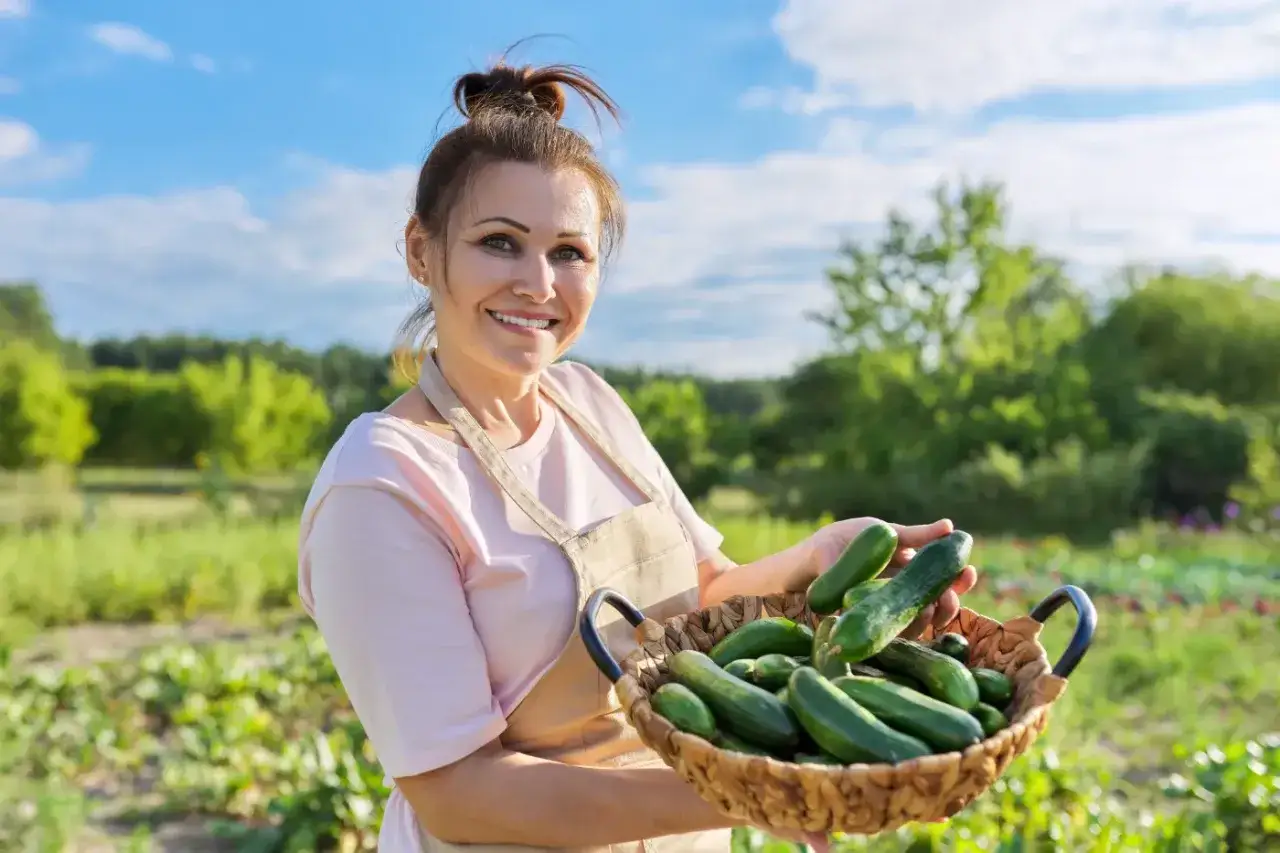 Uśmiechnięta kobieta trzyma koszyk świeżych ogórków. Zastanawiasz się, jaki nawóz pod ogórki gruntowe? Oto odpowiedź wprost z pola!