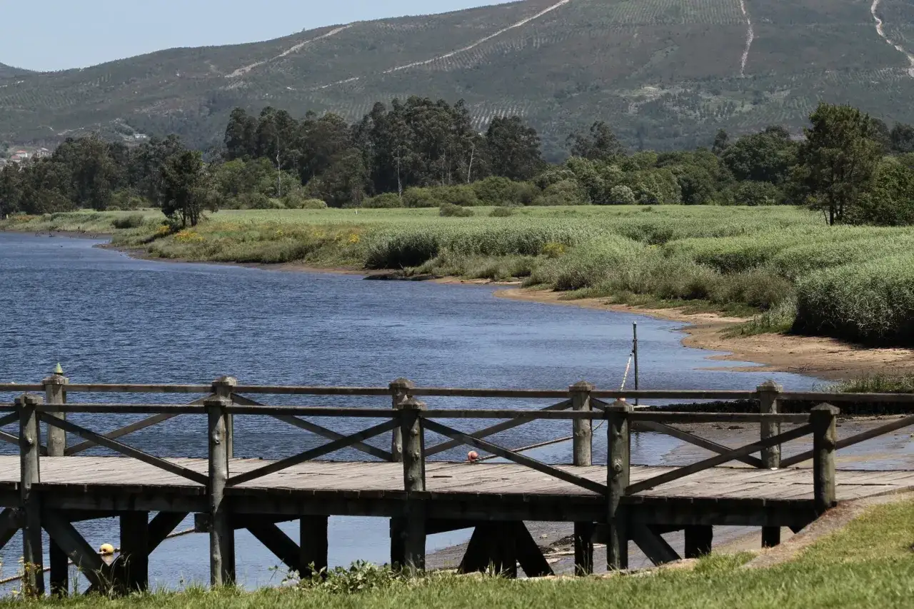 Pasarela de madera en la playa fluvial Vilarello, con vegetación exuberante y colinas al fondo.