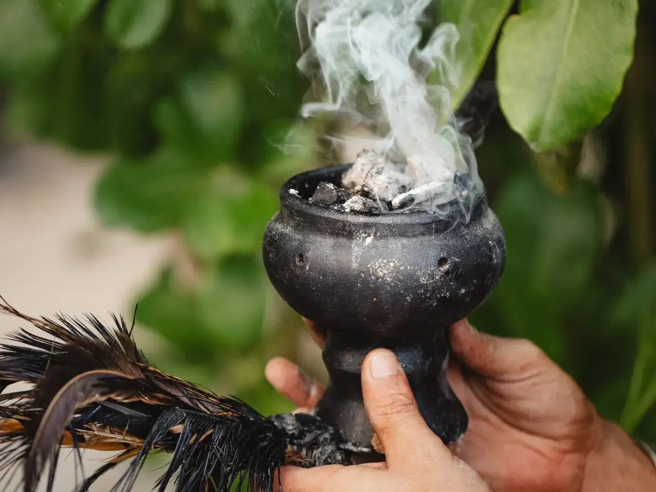 Manos sostienen un cuenco humeante, prepar&aacute;ndose para un ba&ntilde;o de limpieza energ&eacute;tica con plumas.