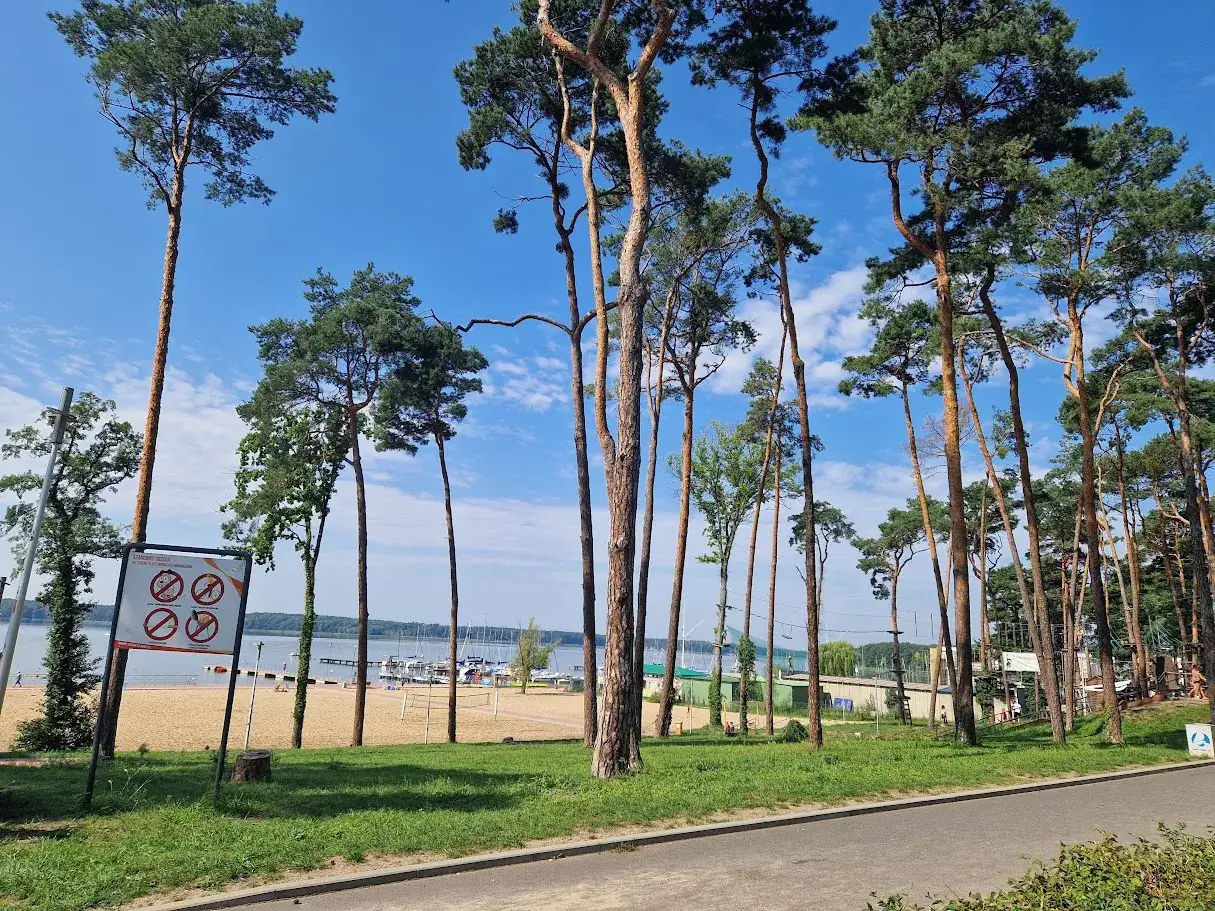 Słoneczny dzień na plaży, wysokie sosny, jezioro z żaglówkami. Idealne miejsce na camping Sława.