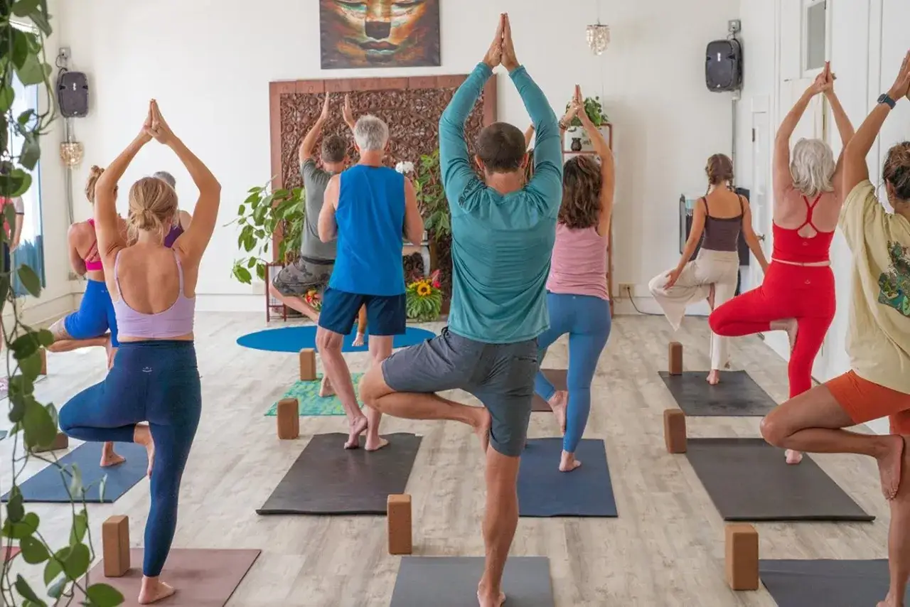 Un cours de yoga vinyasa, c'est quoi ? Des &eacute;l&egrave;ves en pleine posture de l'arbre, mains jointes, dans un studio lumineux.