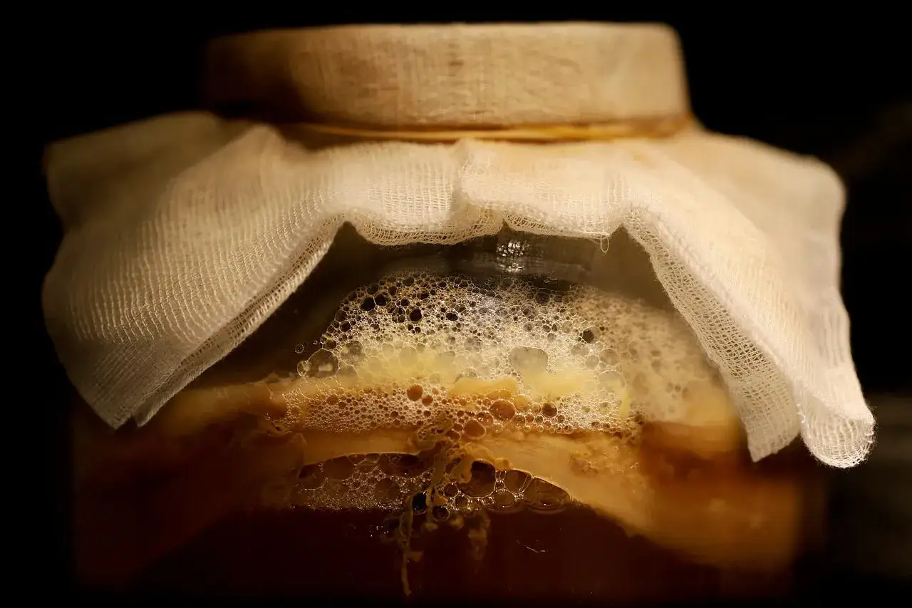 Un bocal de kombucha, avec sa culture visible et des bulles de fermentation, est couvert d'une étamine.